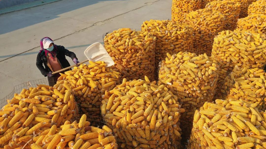 【報告解讀】未來十年，農產品市場變局如何？