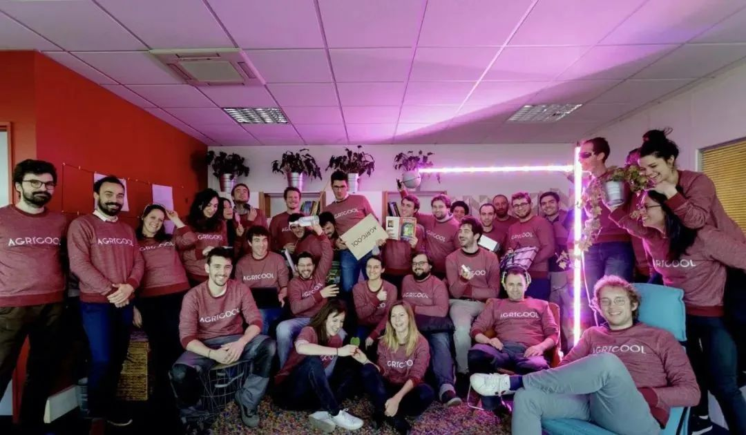 失敗案例！又一個垂直農業先驅倒下，留給中國農業老板的思考