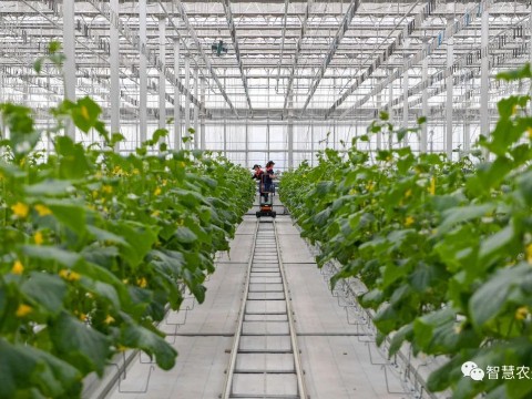 農業部出手，智慧農業將迎來七個方面全面突破！