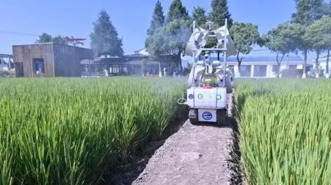 上海智慧農(nóng)場(chǎng)：5G讓無(wú)人農(nóng)機(jī)在田間“跑”起來(lái)