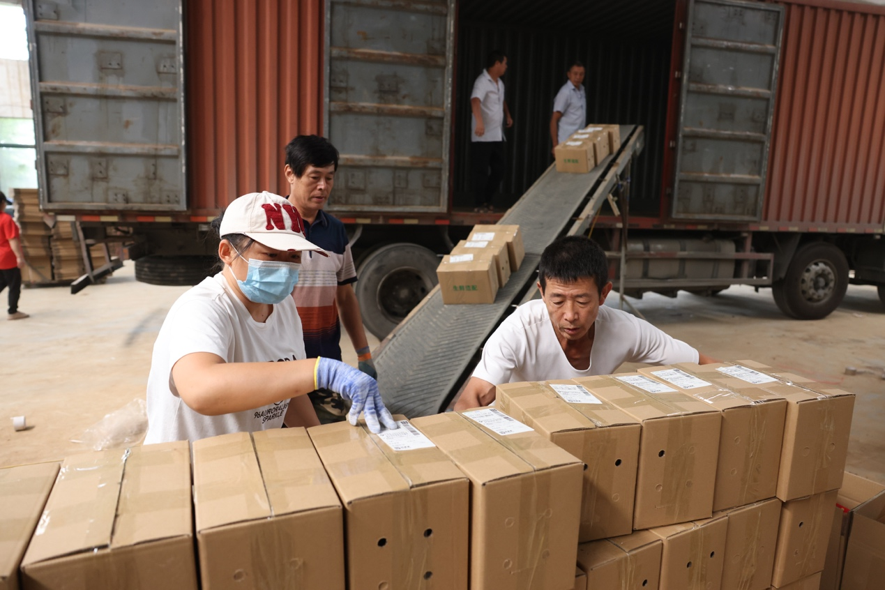 宜城紅薯：新電商怎么“生生造出”一個新產業？