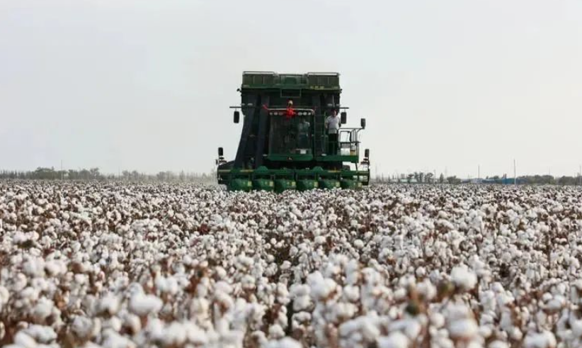 從人拉犁耙到全程機械化 棉農實現(xiàn)“輕松”種地