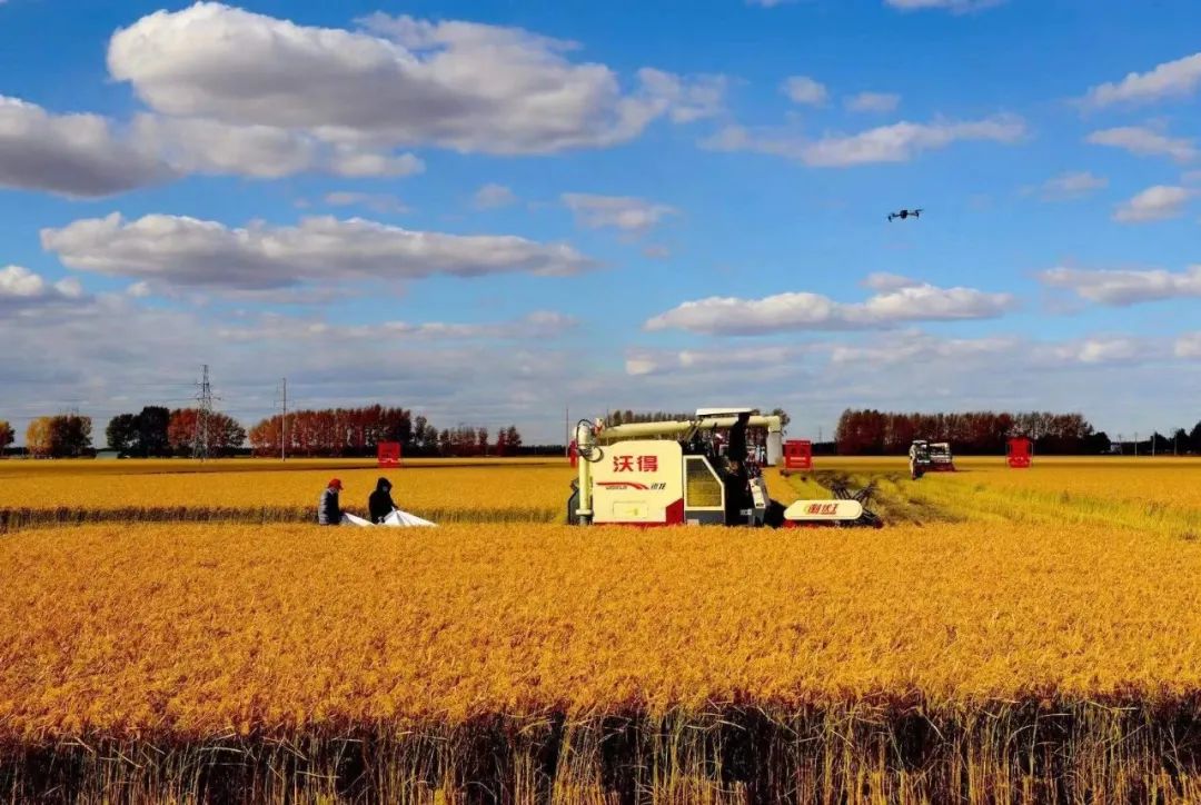 智慧農機助力！北大荒展現節糧減損多項舉措