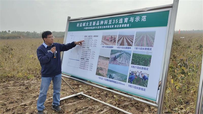 耐鹽大豆新品系完成實(shí)收測(cè)產(chǎn) 畝產(chǎn)達(dá)270公斤以上 耐鹽大豆新品系完成實(shí)收測(cè)產(chǎn) 畝產(chǎn)達(dá)270公斤以上