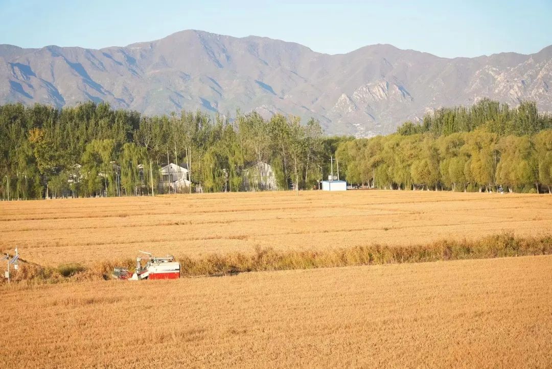 科技改變世界！智能農(nóng)機(jī)助力中國！