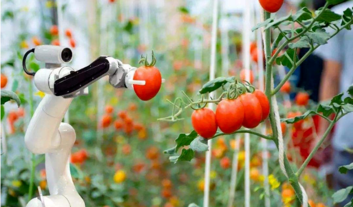 農(nóng)業(yè)機(jī)器人來(lái)到應(yīng)用窗口期，助力未來(lái)百億人口糧食安全
