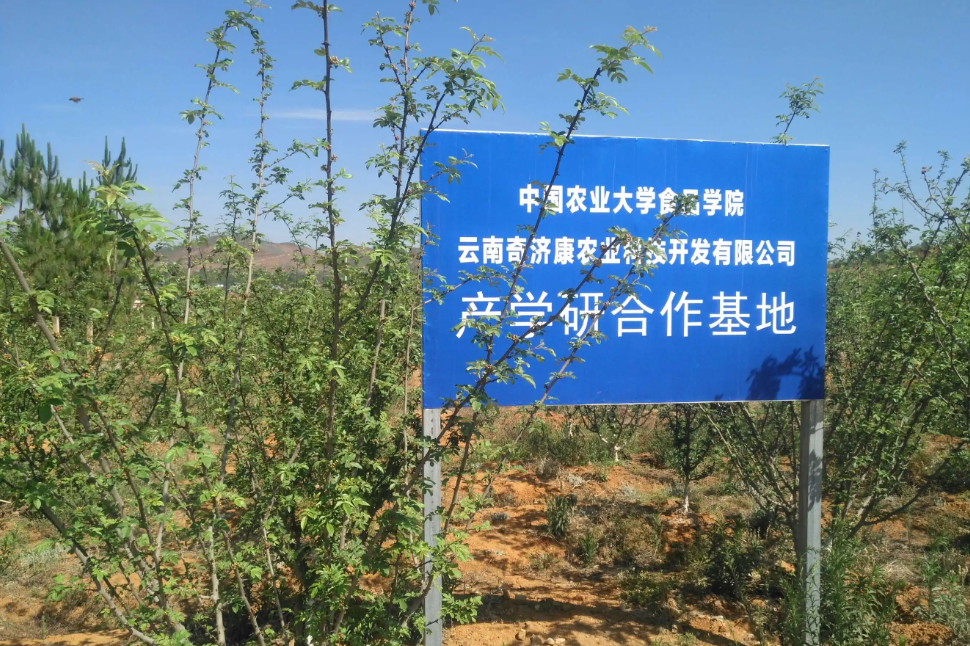 農業產學研融合再添“新軍” 農業產學研融合再添“新軍”