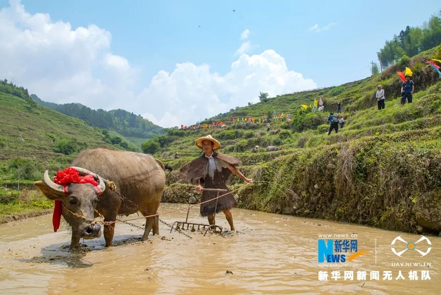 王克修：共同加強“農業(yè)文化遺產保護”