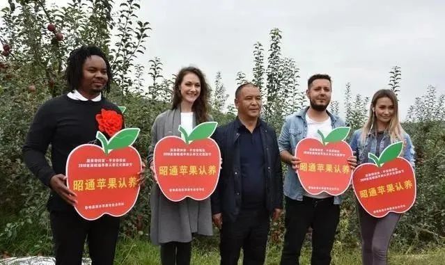 【農業模式】農產品銷售創新點在哪里？十種新模式助力未來農業