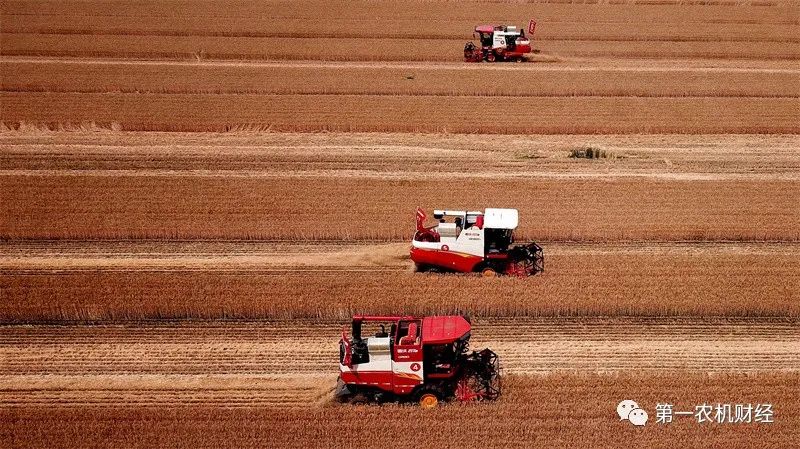 中央發100億元補貼給實際種糧農民 中央發100億元補貼給實際種糧農民