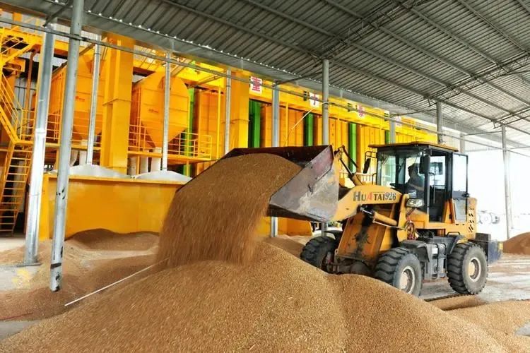 補(bǔ)上糧食產(chǎn)地烘干機(jī)械化短板