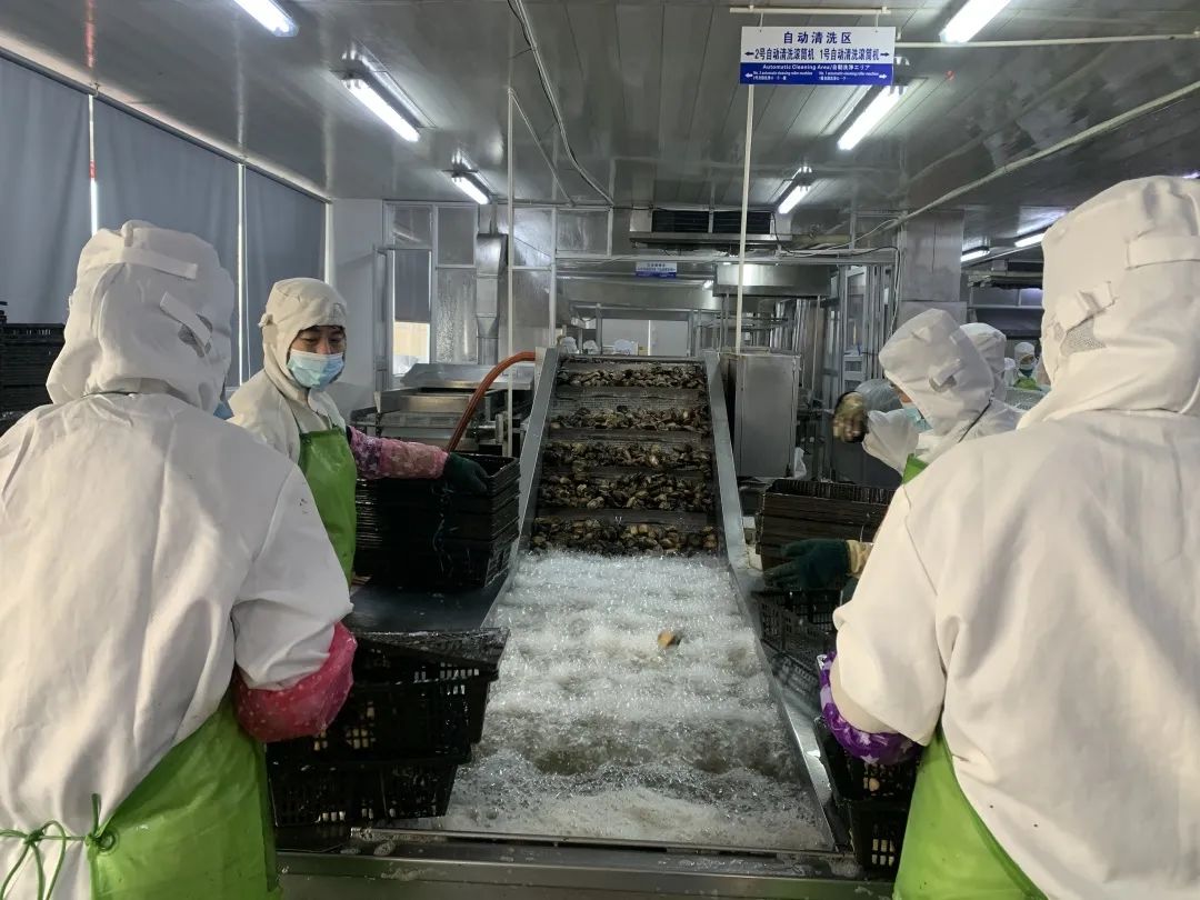 堅(jiān)守品質(zhì) 延長(zhǎng)產(chǎn)業(yè) 開(kāi)拓市場(chǎng)——新形勢(shì)下水產(chǎn)類(lèi)國(guó)貿(mào)基地企業(yè)的“突圍”之道