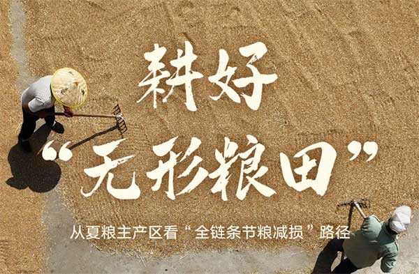 耕好“無形糧田”——從夏糧主產區看“全鏈條節糧減損”路徑 耕好“無形糧田”——從夏糧主產區看“全鏈條節糧減損”路徑