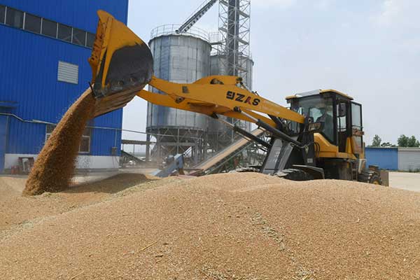 耕好“無形糧田”——從夏糧主產區看“全鏈條節糧減損”路徑 耕好“無形糧田”——從夏糧主產區看“全鏈條節糧減損”路徑