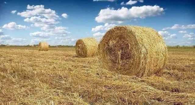 【政策解讀】國家積極推進(jìn)農(nóng)作物秸稈綜合利用