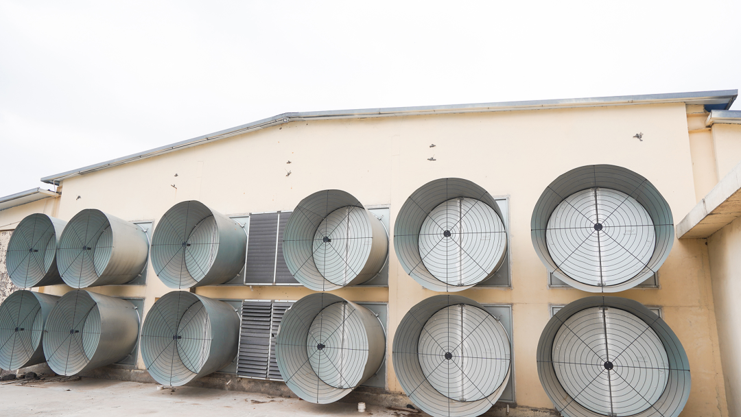 農(nóng)業(yè)農(nóng)村部發(fā)布《肉雞立體養(yǎng)殖技術(shù)指導(dǎo)意見》