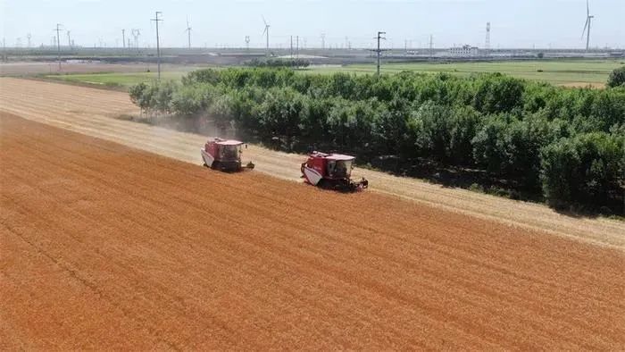 推進鄉(xiāng)村全面振興是“三農(nóng)”工作總抓手