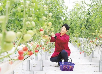 推動數據要素成為現(xiàn)代農業(yè)發(fā)展的新引擎